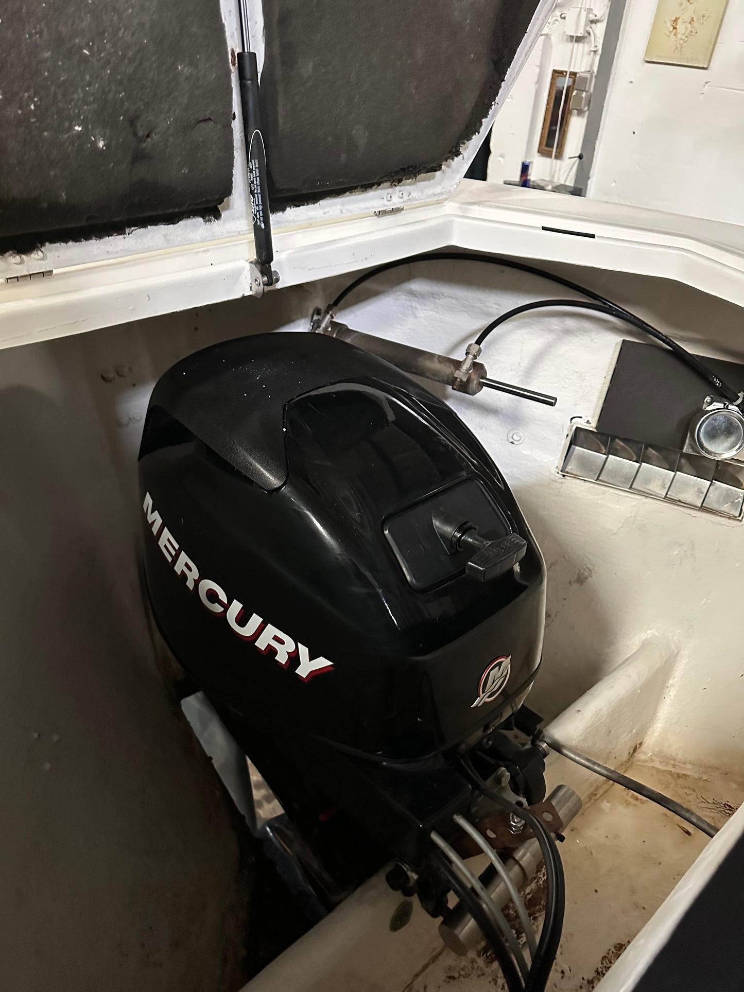 Stout 750 Mercury 25 pk efi