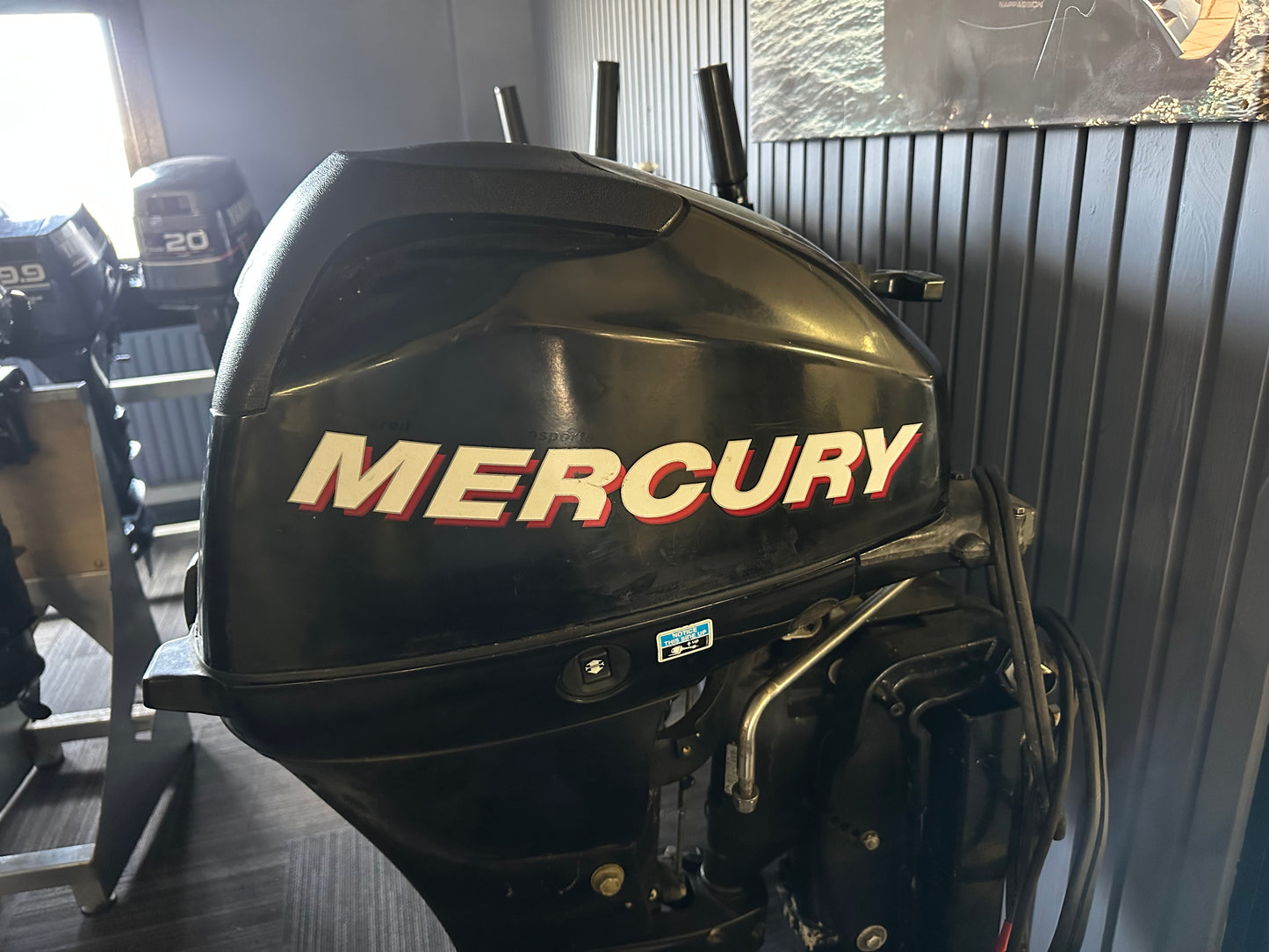 Mercury 15 pk
